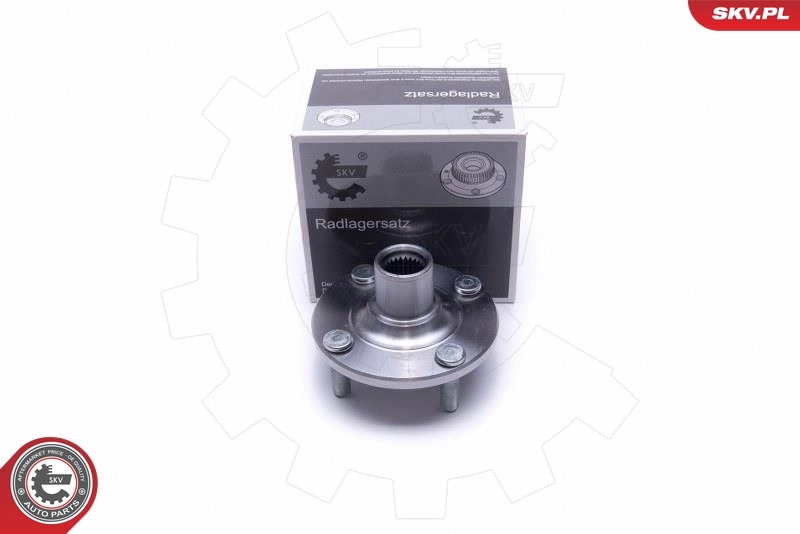 Wheel Bearing Kit